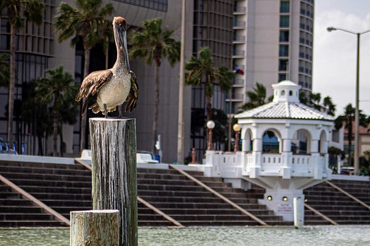 Tour image 6